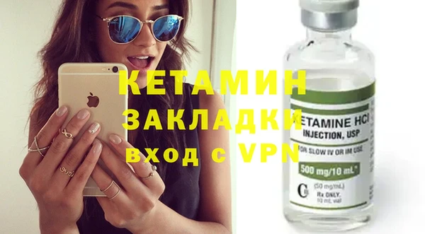 хмурый Пересвет