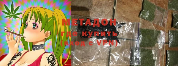 хмурый Пересвет