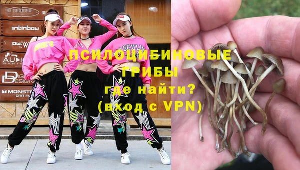 хмурый Осташков