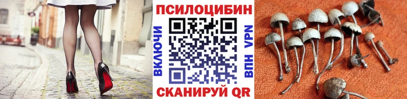 цены наркотик  ссылка на мегу сайт  Псилоцибиновые грибы Cubensis  Муром 