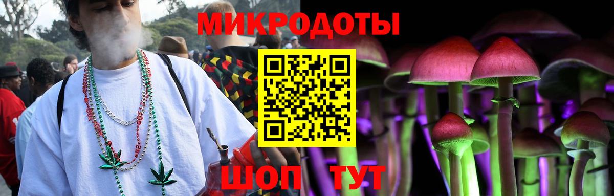 Муром  Псилоцибиновые грибы Cubensis  Вход с VPN 