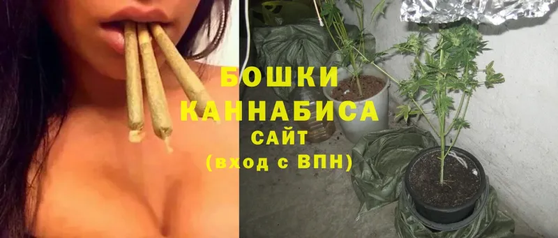 хочу наркоту  Муром  Бошки Шишки OG Kush 